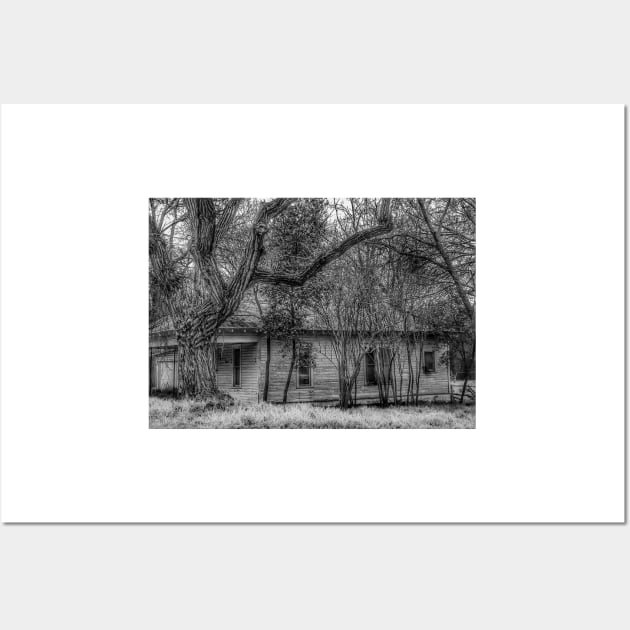 Shadows and Tall Trees - Black And White Wall Art by davidbstudios